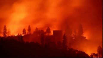 Screen Shot 2020-02-12 at 11.03.57 PM